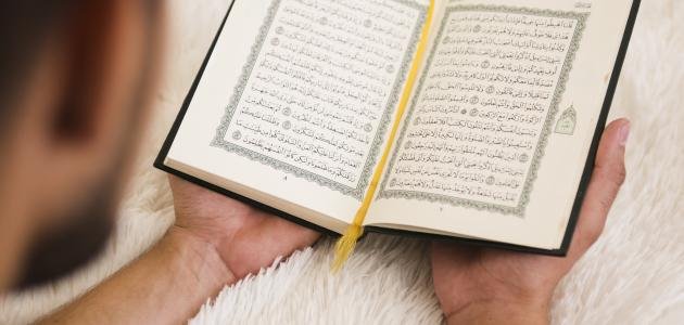 أفضل كتب التفسير للمبتدئين